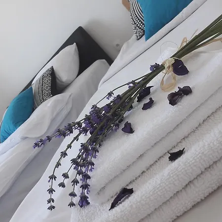 Apartment Nijona Trebin Dış mekan fotoğraf