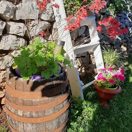 Apartment Nijona Trebin Dış mekan fotoğraf